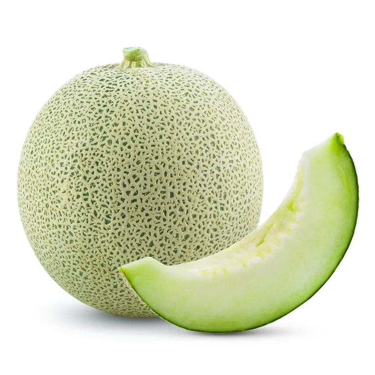 เมล่อนสีเขียว Midori ออร์แกนิก กรุงเทพ